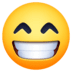 :grin: :grin: