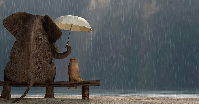 031714_card6_v1 elephant dog sitting bench rain umbrella backgrounds-1200x627