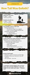 how-tall-was-goliath