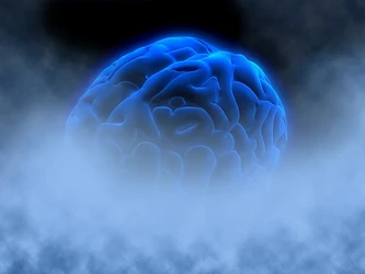 Mind