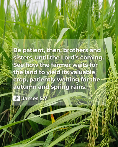James 5:7 Bible verse of the day
