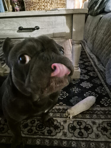 1000010719