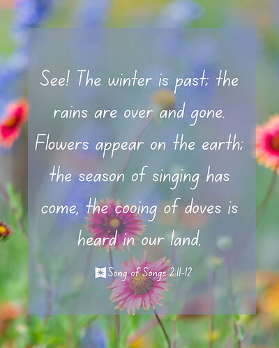 Song of Songs 2:11-12